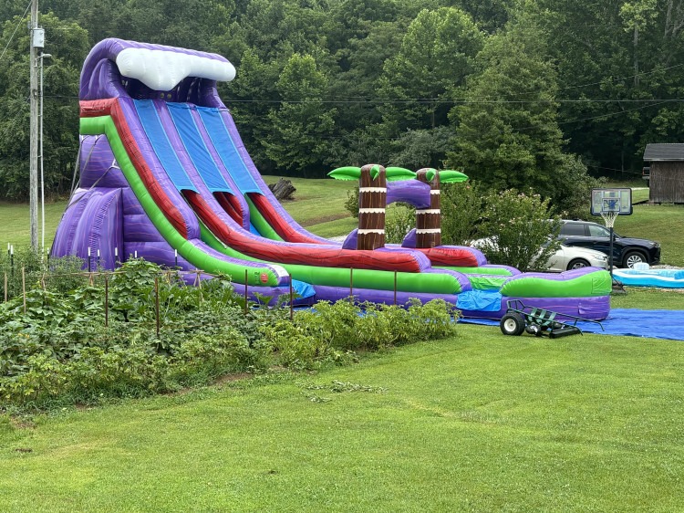 Purple Plummet